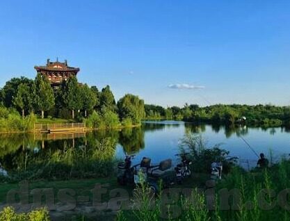 成人动漫在线视频-成人动漫在线视频，文化交汇的数字乐园