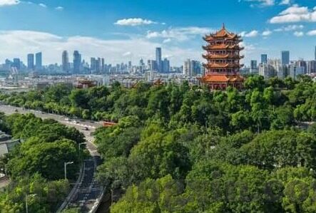 椎名空中文字幕-椎名空中文字幕，跨越语言与文化的桥梁