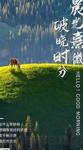 大象传媒网站免费-探索大象传媒网站的免费资源，互联网上的文化盛宴