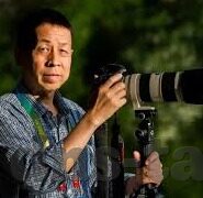 伦理片年轻的母亲-伦理片年轻的母亲——生活困境中的坚韧与抉择