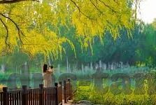 麻豆印映传媒-多维视角下的麻豆印映传媒，创新发展与社会价值融合探索