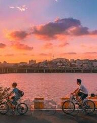 糖心vlog 苹果-糖心Vlog，揭秘苹果的甜蜜时刻