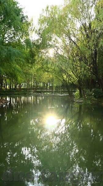 一区二区三区高清-探索高清视界，一区、二区、三区的精彩呈现